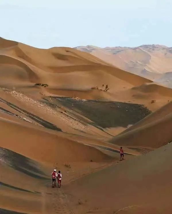 1683768927867175.jpg 13.jpg